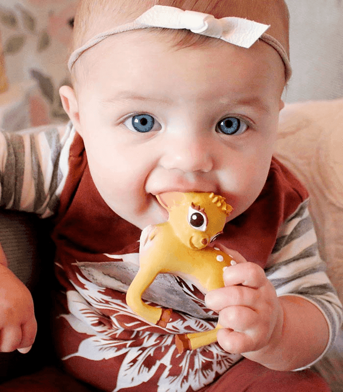anneau-dentition-bain-bébé-jouet-nature-biche-oli&carol