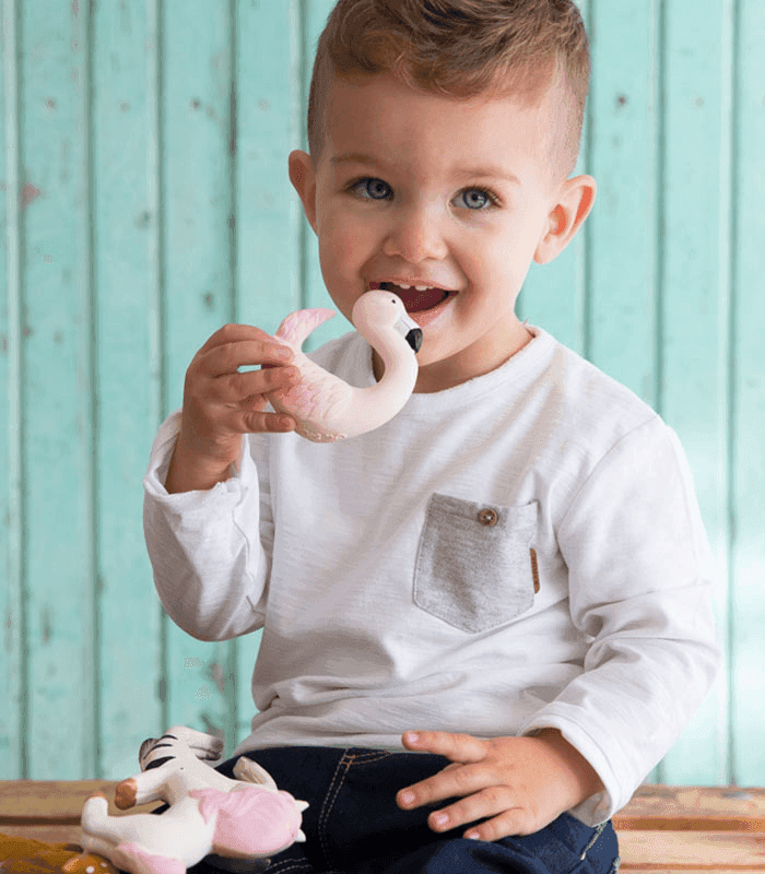 anneau-dentition-bain-bébé-jouet-naturel-flamant-oli&carol
